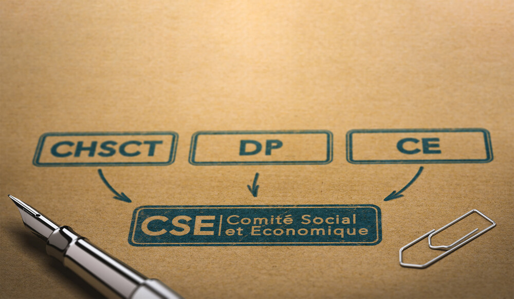 Assistance auprès des Comités Sociaux et Économiques