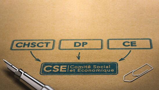 Assistance auprès des Comités Sociaux et Économiques
