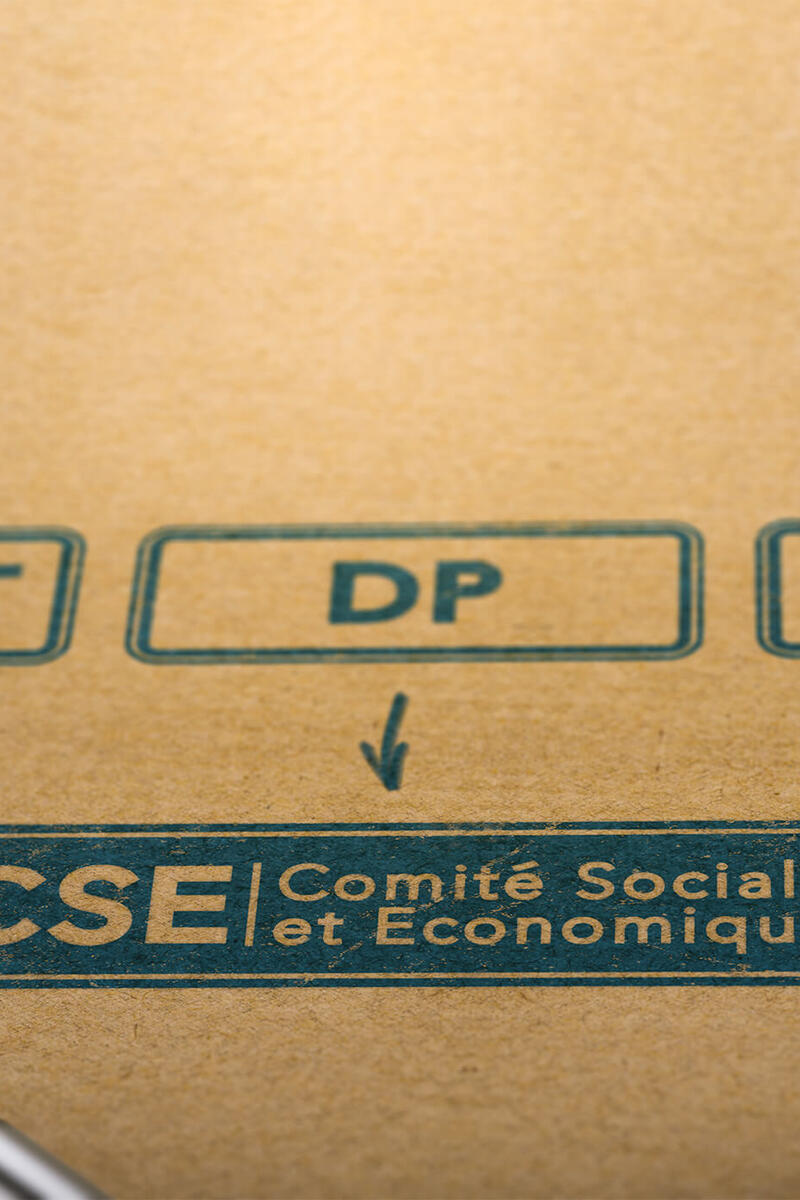 Assistance auprès des Comités Sociaux et Économiques